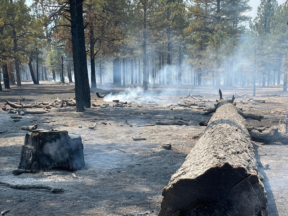 In this photo provided by the National Park Service, fallen trees smolder after a wildfire at Sunset Crater Volcano National Monument in Arizona, Wednesday, April 20, 2022.