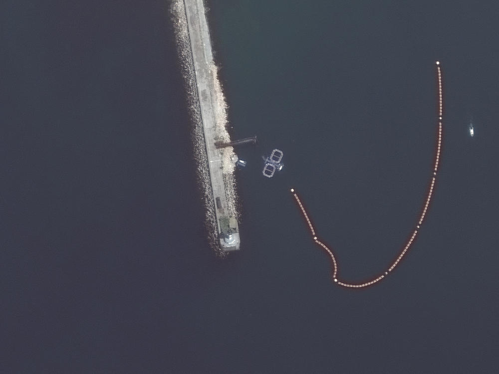 Satellite imagery from Friday appears to show dolphin pens at the entrance to Sevastopol's harbor. The naval base there is important to the Russian military because of its proximity to the Crimean Peninsula.