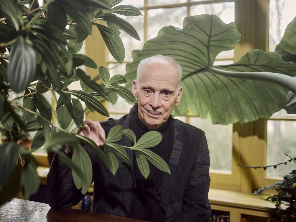 Filmmaker and author John Waters at his home in Baltimore. This year marks the 50th anniversary of his landmark film, <em>Pink Flamingos, </em>and he's releasing his first novel, <em>Liarmouth: A Feel-Bad Romance</em>.