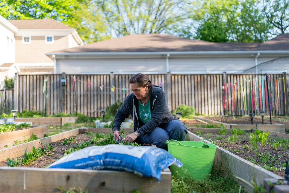 Jenna Fournel cuts crops in her home garden in Alexandria, Va. on April 30, 2022.