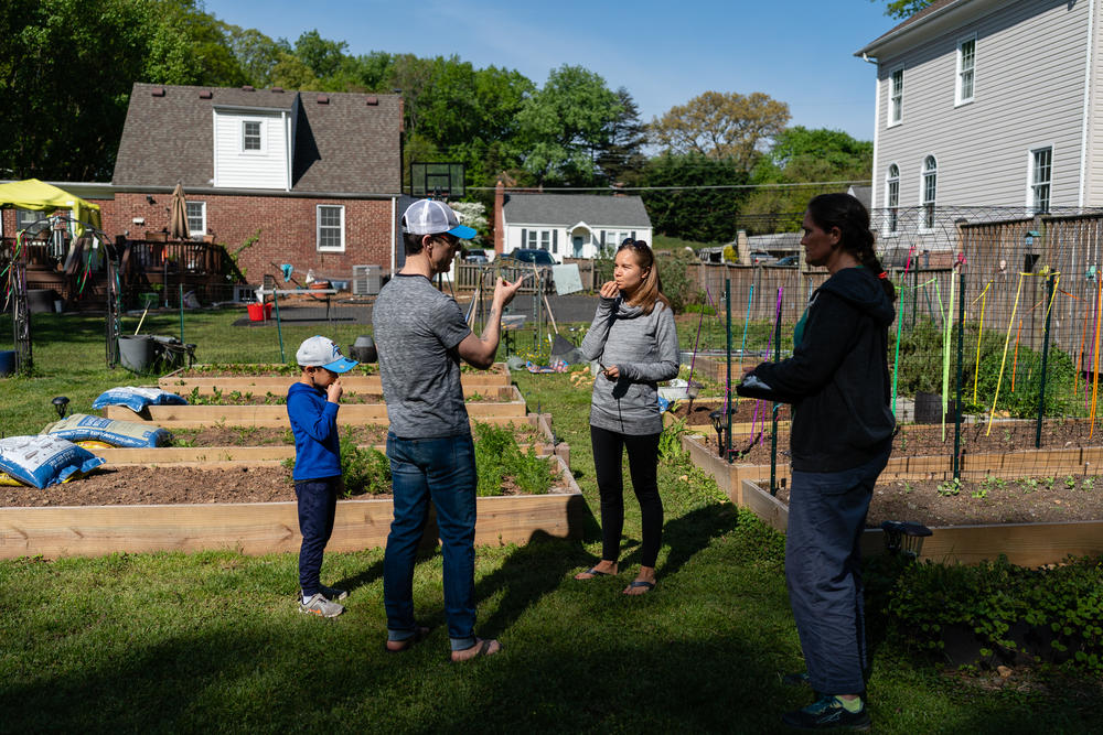 Melissa Bender, 40, and Zach Bender, 7, taste freshly picked asparagus as Chris Bender, 46, brainstorms garden ideas with Jenna Fournel at her home in Alexandria, Va. on April 30, 2022.