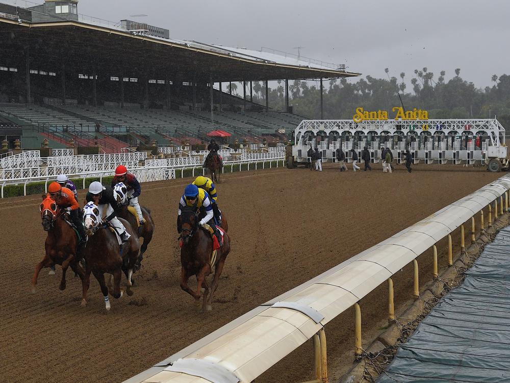 Horses run in the fourth race at Santa Anita Park in front of empty stands in Arcadia, Calif., in 2020.