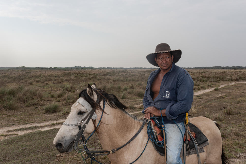 A <em>llanero</em> saddles up to herd cattle.