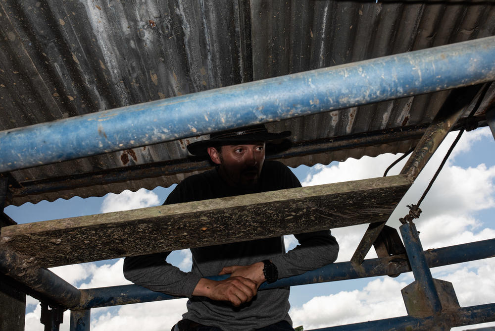 A veterinarian at the ranch in Casanare keeps an eye on the cattle.