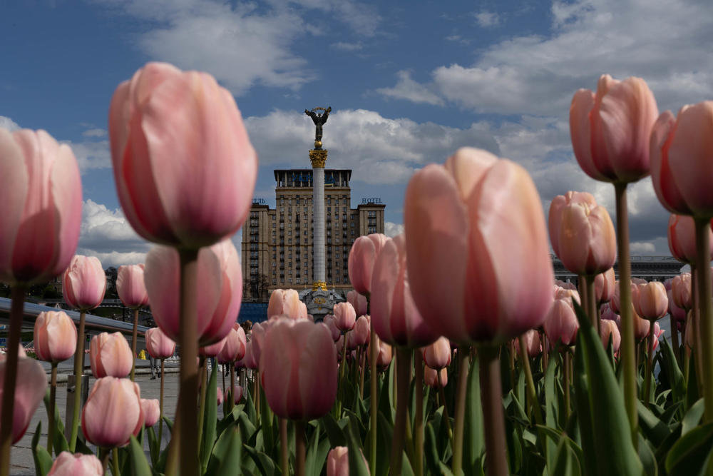 Tulips bloom on Maidan, the city's central square, in Kyiv in April after Russian forces pulled back to focus on the eastern fronts in their ongoing invasion of the country.
