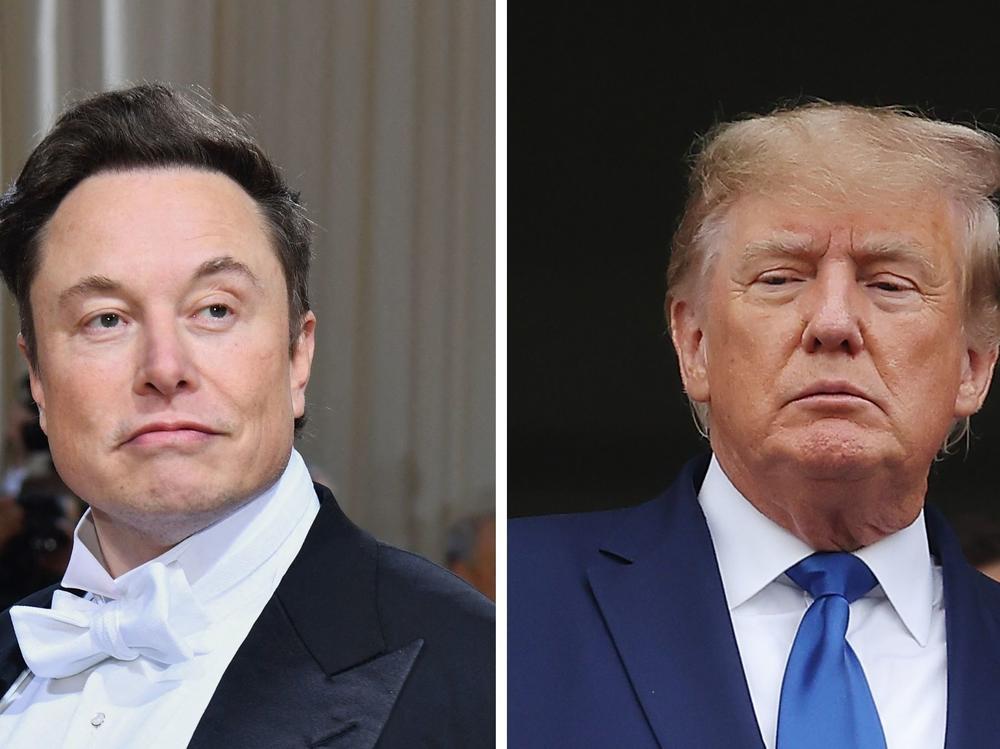 Left to right: Elon Musk and Donald Trump