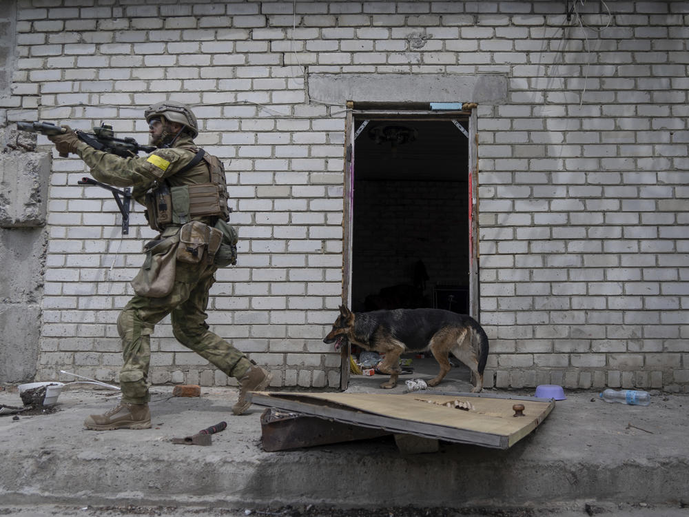 A Ukrainian serviceman patrols during a reconnaissance mission in a recently retaken village on the outskirts of Kharkiv, east Ukraine, Saturday, May 14, 2022.