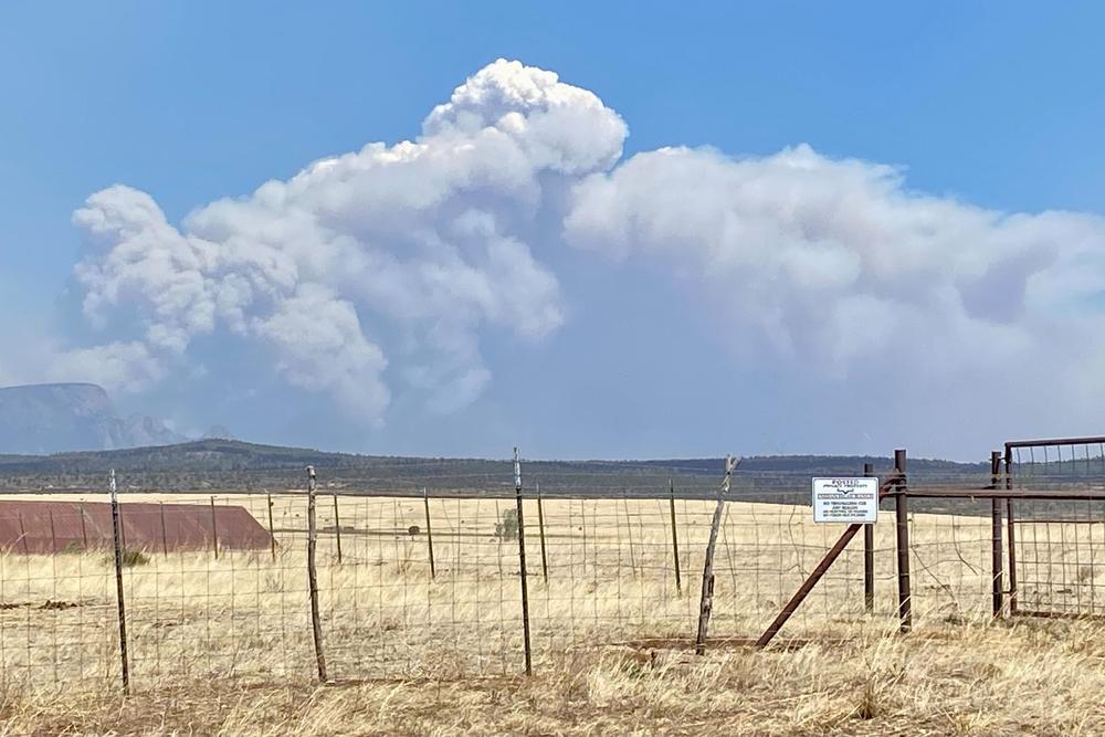 The Calf Canyon-Hermits Peak Fire has already burned more acres than burned in the entire year last year in New Mexico.
