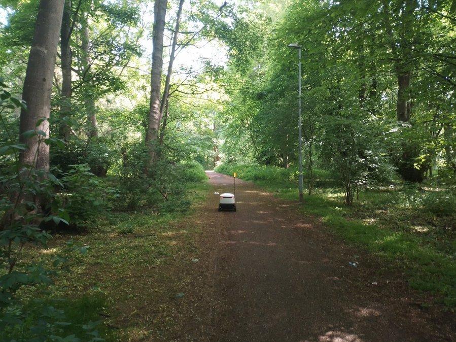 A wandering delivery robot found its way into the woods of Northampton in the United Kingdom.