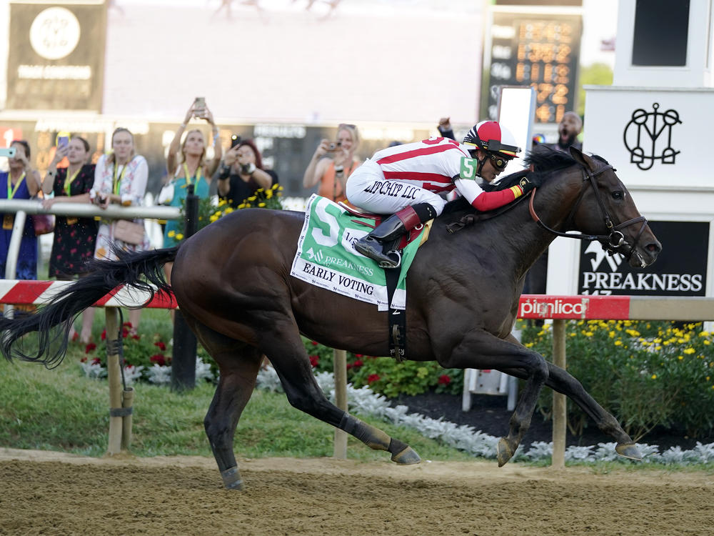 Jose Ortiz atop Early Voting wins the 147th running of the Preakness Stakes horse race at Pimlico Race Course on Saturday in Baltimore.