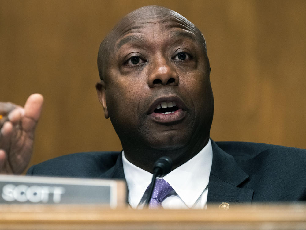 Sen. Tim Scott, R-S.C., speaks as Treasury Secretary Janet Yellen testifies before a Senate committee hearing May 10. He told her it was 