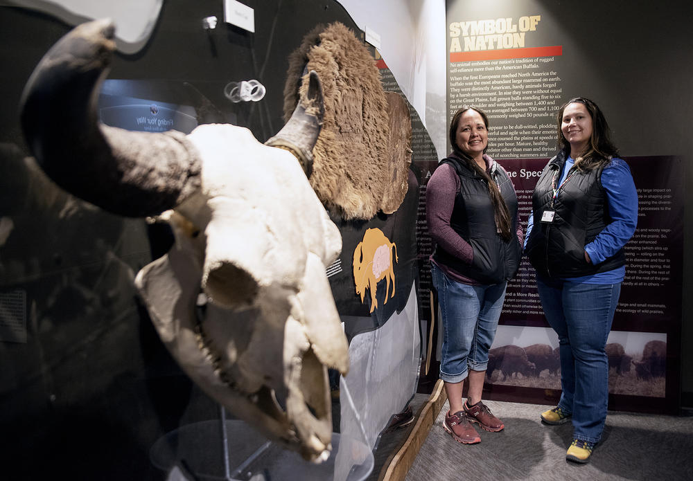 Stephanie Gillin, the education program manager for CSKT's natural resources program, and Whisper Camel-Means, the CSKT's division manager for the bison range, pose for a picture by the skull of a bison at the bison range visitor center.