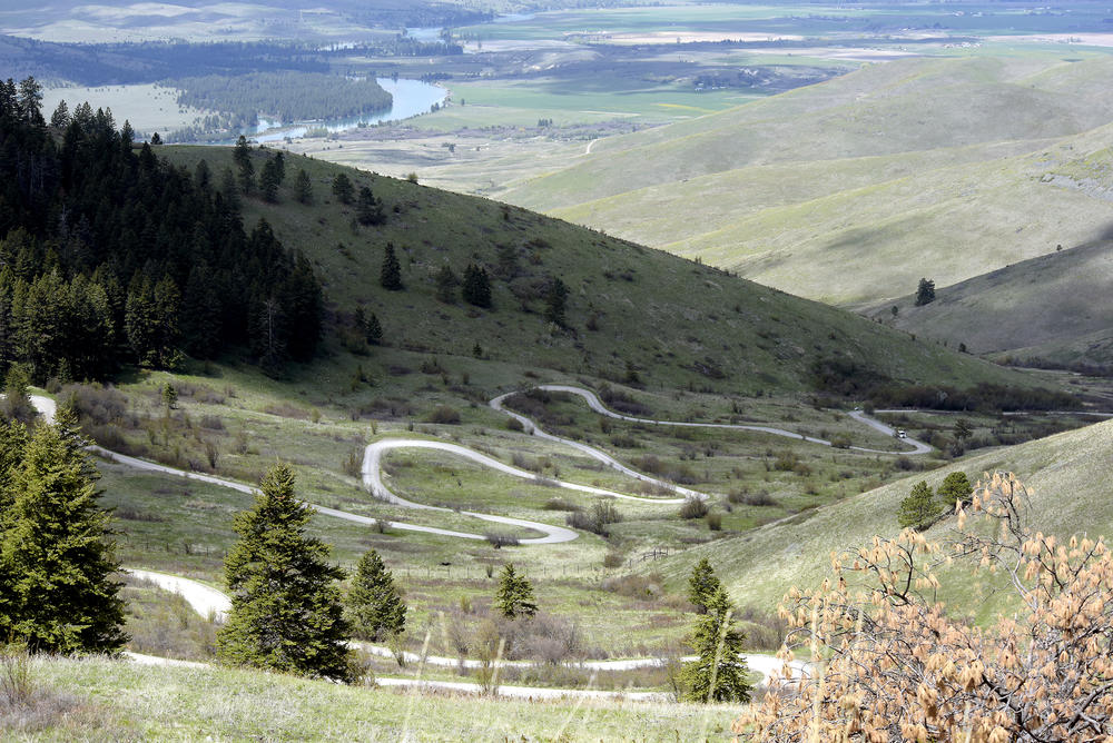 A narrow gravel road zig-zags travelers through the scenic bison range where buffalo roam freely on 18,000 acres of undeveloped land in northwest Montana.