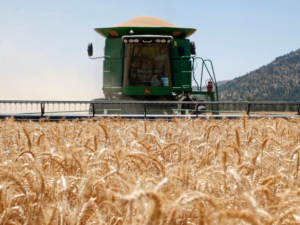 A Combine harvesting machine reaps wheat in a field of the Hula valley near the town of Kiryat Shmona in the north of Israel on May 22, 2022. Wheat prices have soared in recent months, driven by the war in Ukraine and a crippling heat wave in India.
