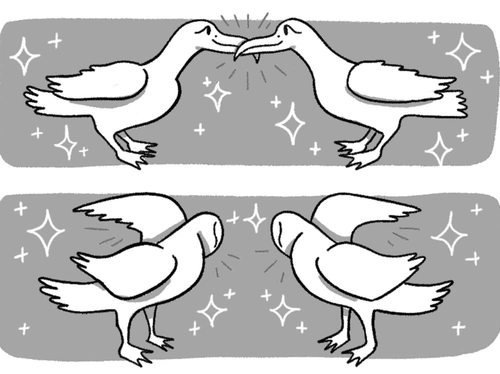 Eliot Schrefer's book, <em>Queer Ducks (and Other Animals): The Natural World of Animal Sexuality</em>, is designed to be teenager friendly. It's filled with comics and humor and accessible science on the diversity of sexual behavior in the animal world.