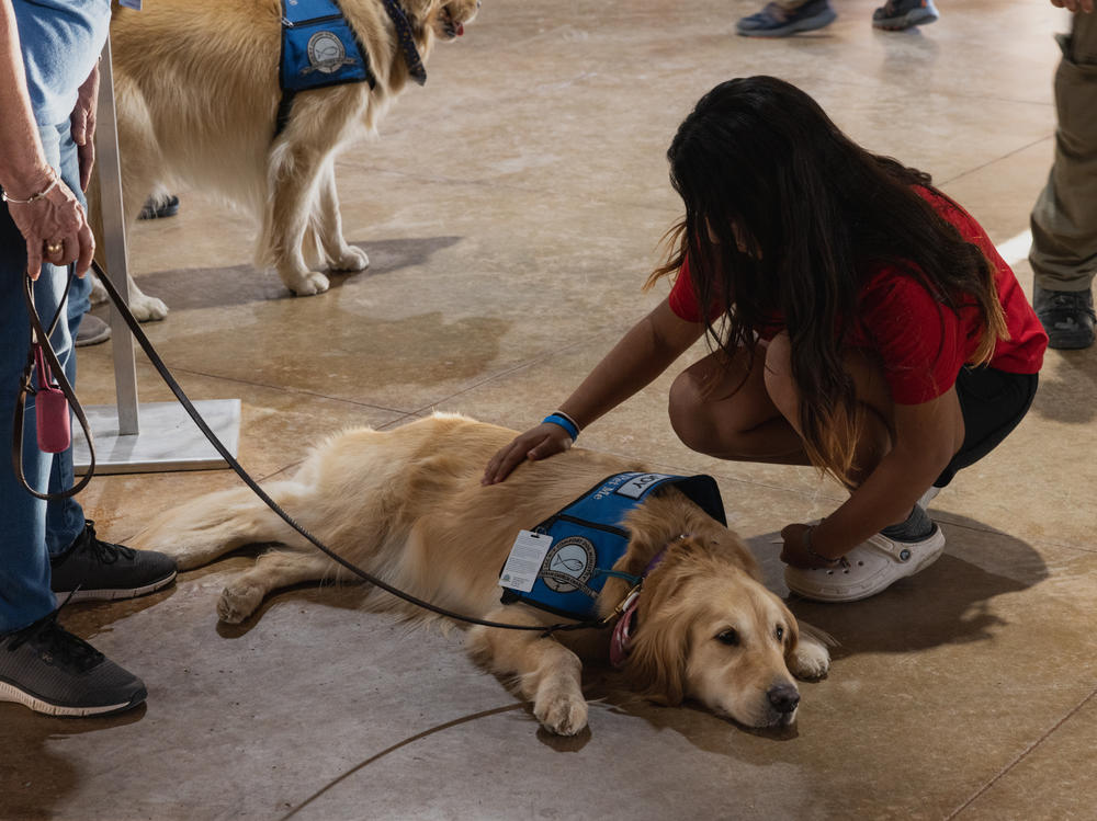 A young girl pets a comfort dog at a vigil on Wednesday in Uvalde, Texas.