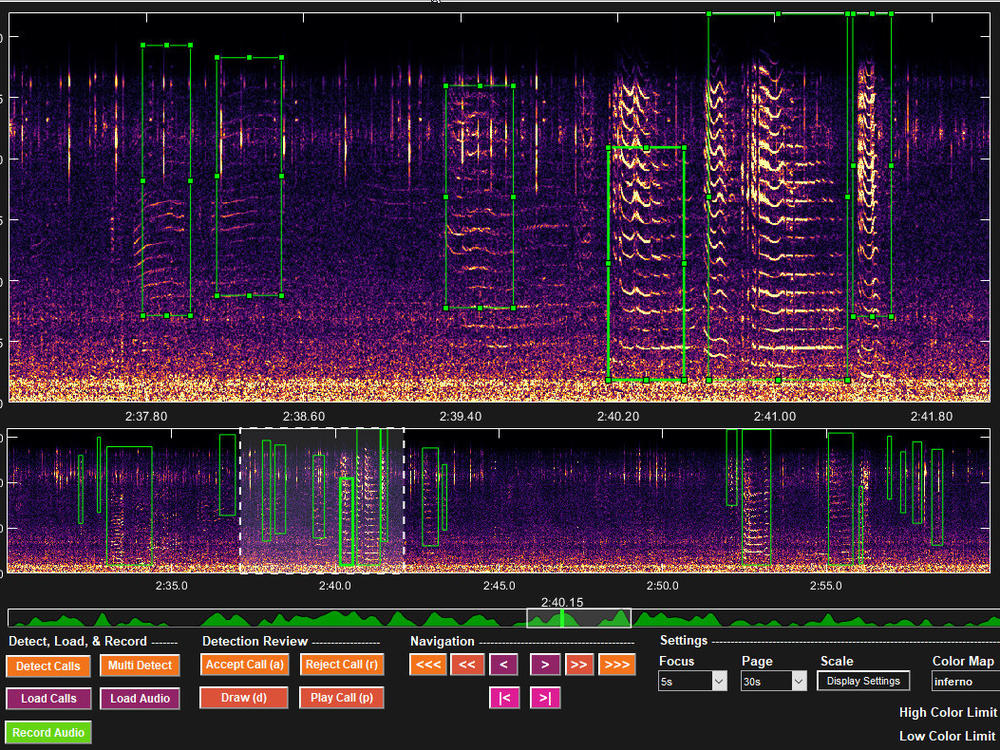 The green boxes show portions of the audio spectrogram that artificial intelligence has identified as marine mammal calls.