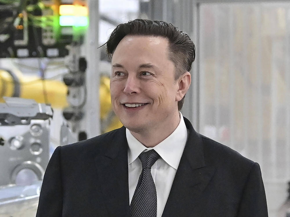 Tesla CEO Elon Musk.