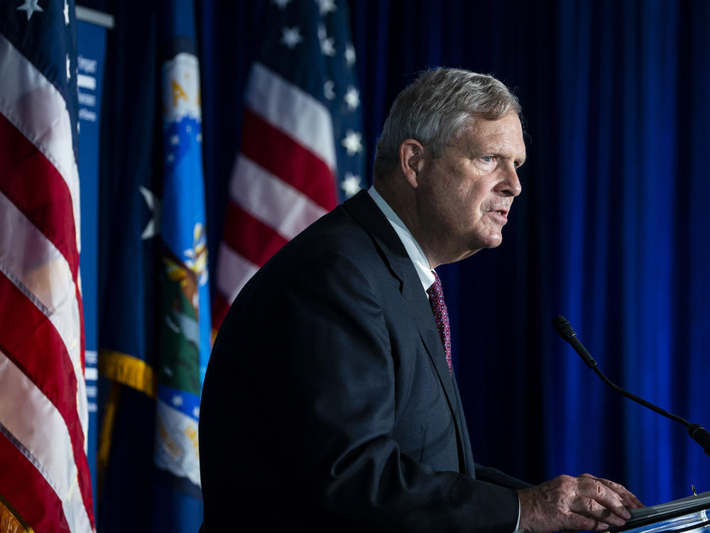 Agriculture Secretary Tom Vilsack speaks at Georgetown University in Washington, D.C., on Wednesday.
