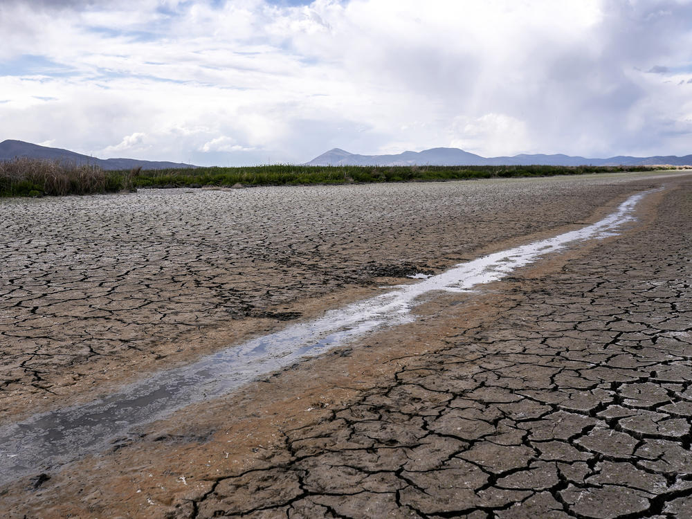 A small stream runs through the dried, cracked earth of a former wetland near Tulelake, Calif., on June 9, 2021. Southern California's gigantic water supplier has taken the unprecedented step of requiring some 6 million people to cut their outdoor watering to one day a week as drought continues to plague the state.