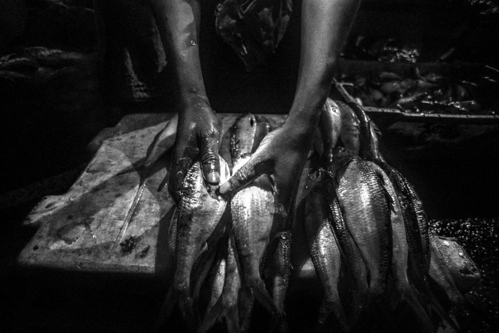 A fishing stall in Dakar. Overfishing has threatened local fish stocks.