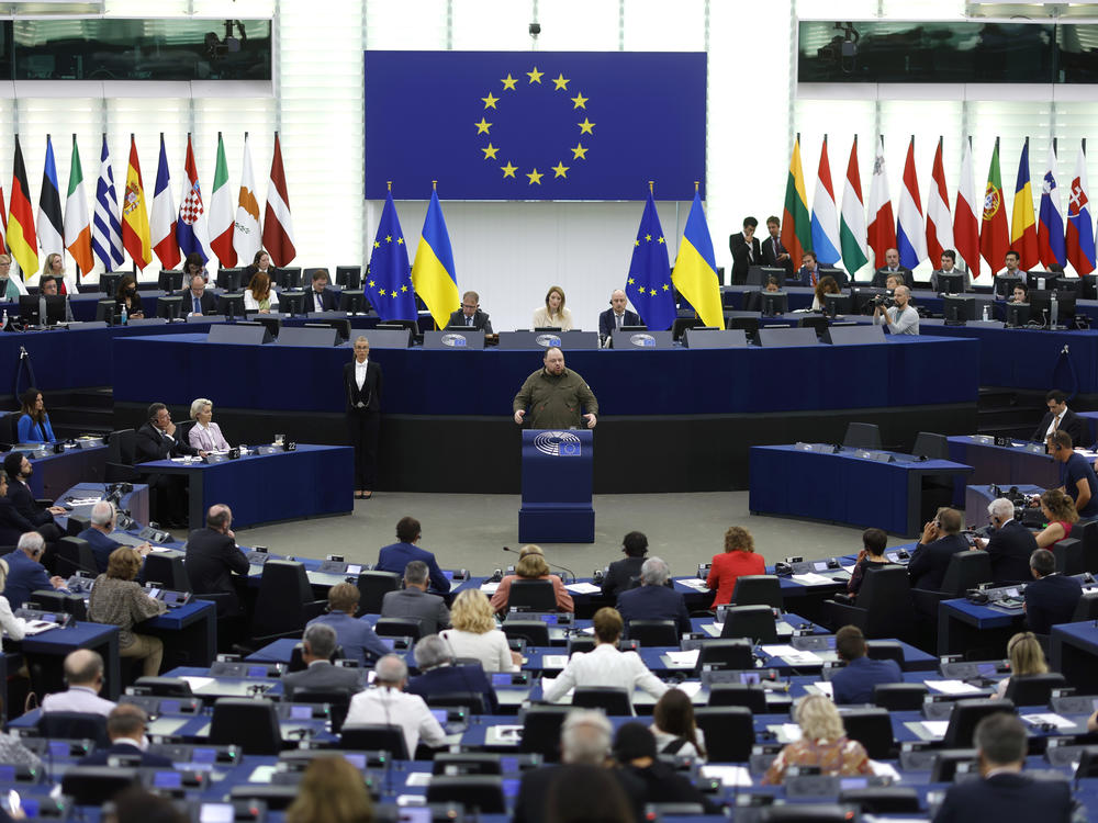 The Ukrainian parliament's Ruslan Stefanchuk delivers a speech at the European Parliament on Wednesday in Strasbourg, France.