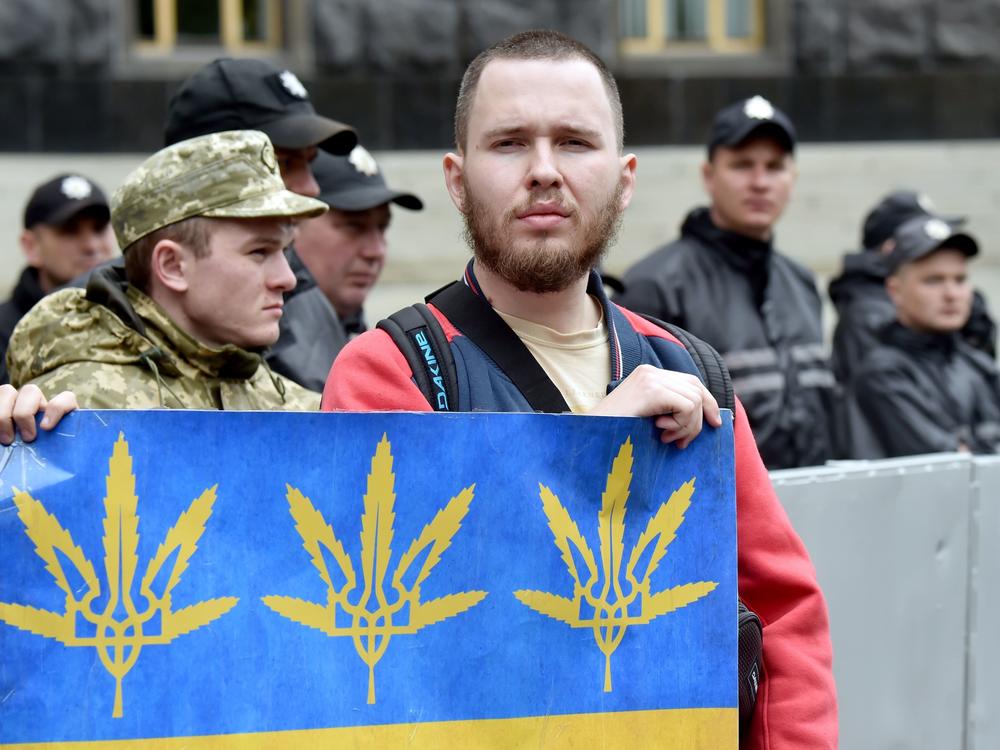 An activist holds a placard depicting cannabis leaves during a protest in Kyiv in May 2017. Ukraine is moving closer to legalizing medical cannabis, fueled in part by Russia's war.