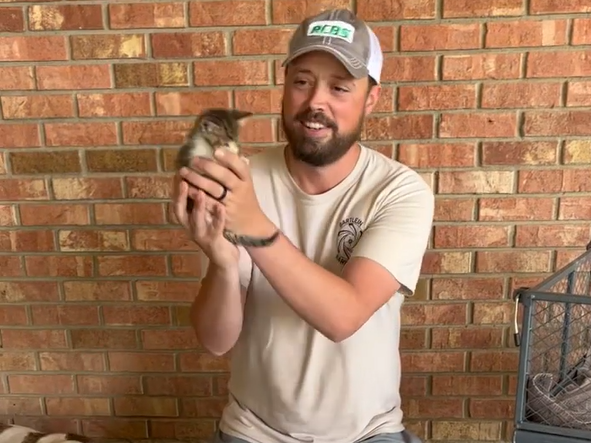 Robert Brantley washes one of the 13 kittens he rescued along the side of the road in Pioneer, La., on Tuesday.