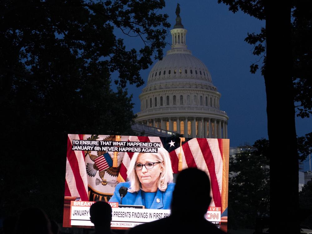 People gather in a park outside of the U.S. Capitol to watch the Jan. 6 House committee investigation in Washington, Thursday, June 9, 2022, as the House committee investigating the Jan. 6 insurrection at the U.S. Capitol holds the first in a series of hearings laying out its findings.