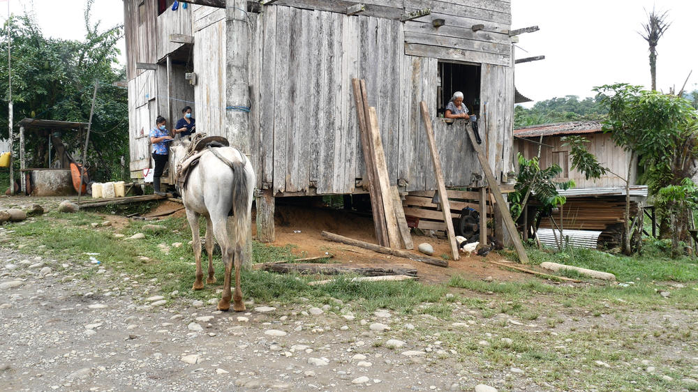 Dr. Topa Pila's team goes from house to house in the village of Hoja Blanca. Above: They visit an elderly patient.