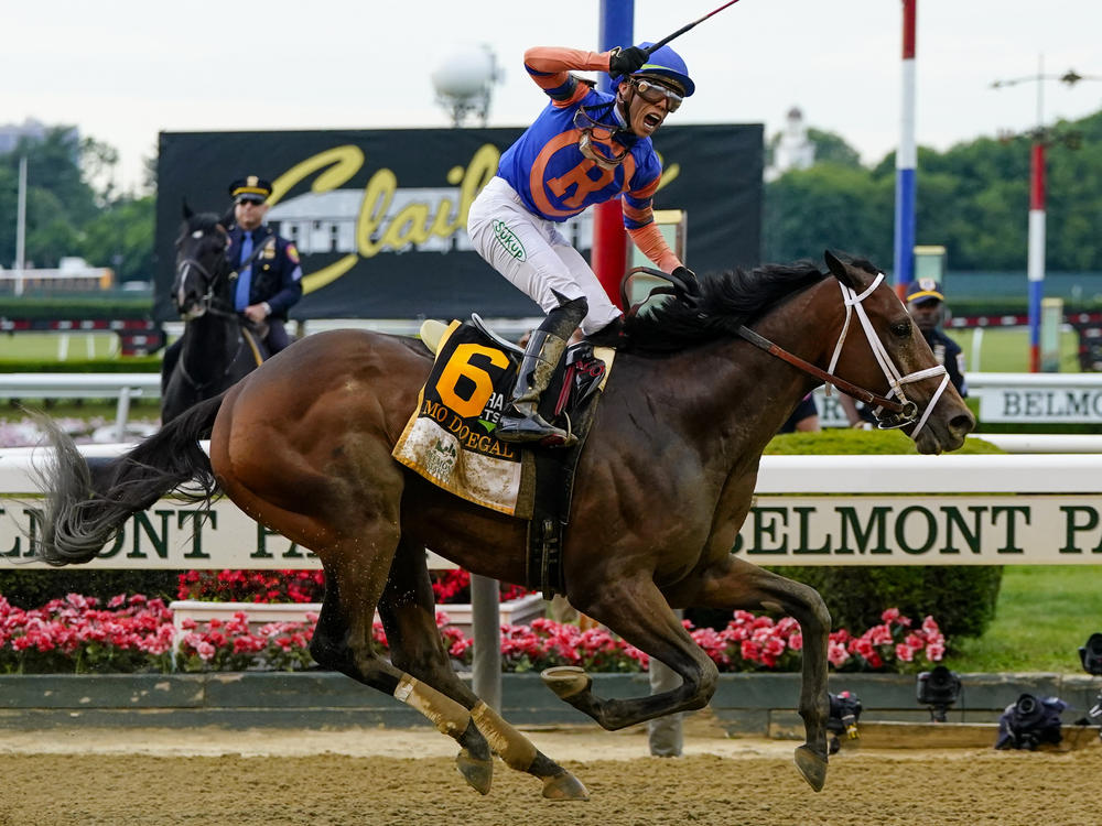 Mo Donegal (6), with jockey Irad Ortiz Jr. up, crosses the finish line to win the 154th running of the Belmont Stakes on Saturday at Belmont Park in Elmont, N.Y.
