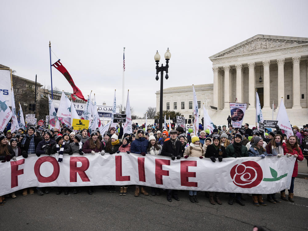 Protesters gathered in Washington, D.C., this past January for the 49th annual March for Life rally. Demonstrators with the March for Life movement sport the color red at protests.