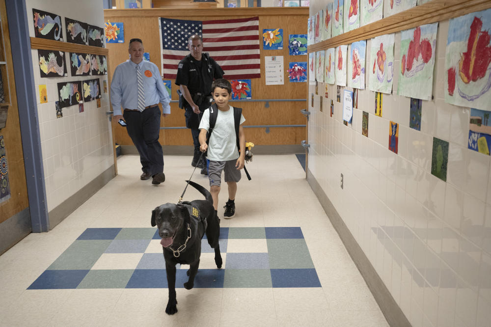 Freetown Elementary School student Ariel Pimentel gets a chance to walk Hunter. Jonathan Darling, public information officer for the Bristol County Sheriff's Office, keeps an eye on him, while K-9 officer Capt. Paul Douglas follows behind.