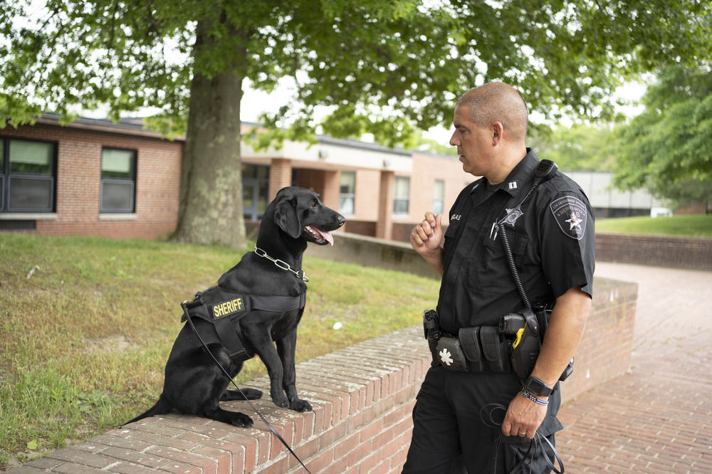 Capt. Paul Douglas of the Bristol County Sheriff's Office and Hunter, his COVID-detection dog, outside one of the sites they regularly screen: Freetown Elementary School in Freetown, Mass.