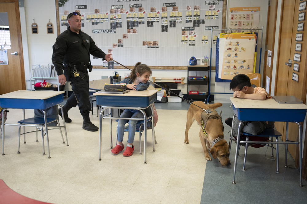 Santos, left, and Duke patrol a classroom at Freetown Elementary School while students Abigail MacLane, center, and Dylan Lam, right, look on.