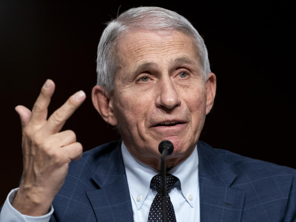 Dr. Anthony Fauci testifies before a Senate Health, Education, Labor, and Pensions Committee hearing on Jan. 11, 2022 on Capitol Hill.