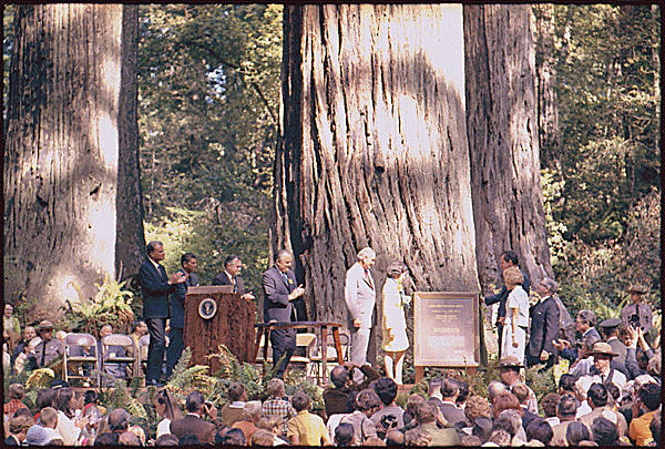 <em>Lady Bird Johnson Grove dedication ceremony with Presidents Richard Nixon and Lyndon Johnson, and First Ladies Lady Bird Johnson and Pat Nixon.</em>