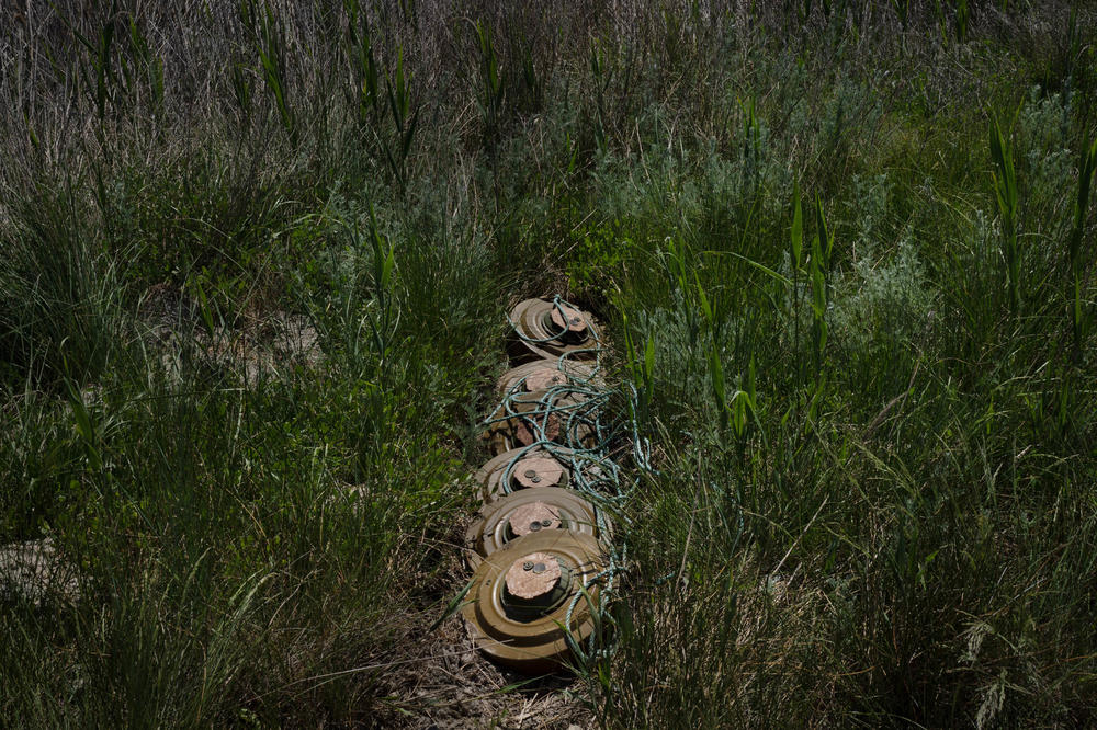 A string of anti-tank mines hidden by Ukraine's armed forces in the tall grass at the national park to deter a Russian amphibious landing.