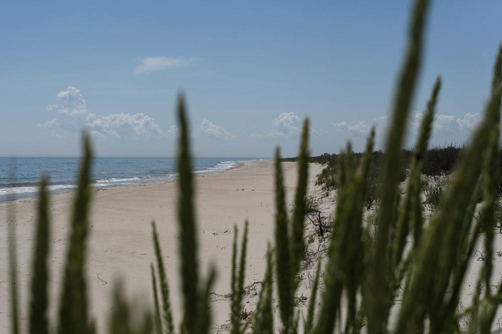 A view of the Black Sea from Tuzla Lagoons National Nature Park. Destroyed vessels in the sea are one of the most immediate concerns identified by the state agency.