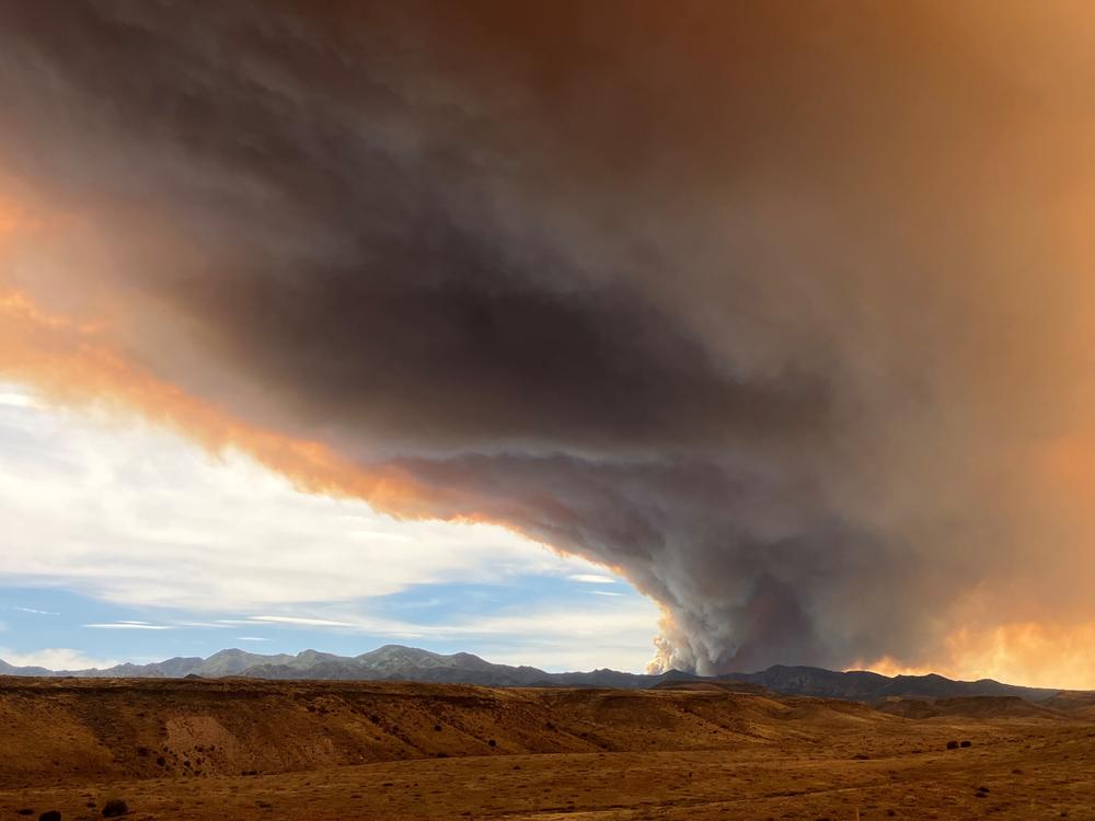 A plume of smoke rises from the Black Fire above the Gila Wilderness in southwest New Mexico on June 4.