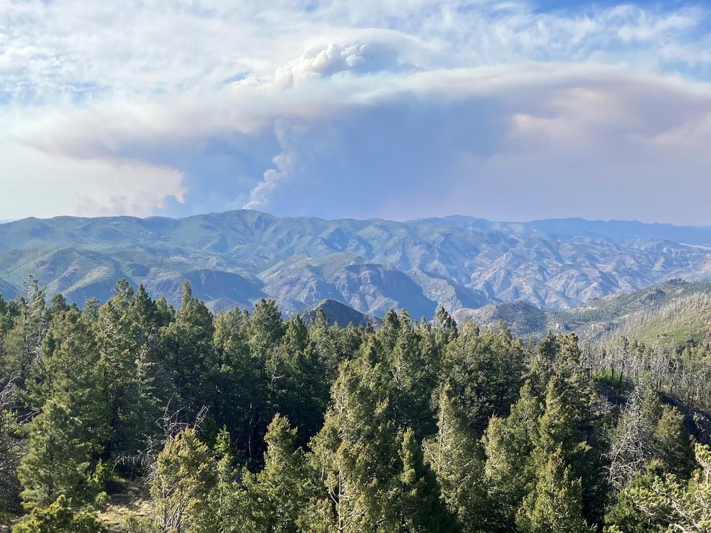A plume of smoke from the Black Fire rises over the Gila National Forest. Philip Connors watched the fire grow and creep closer to his fire lookout post.