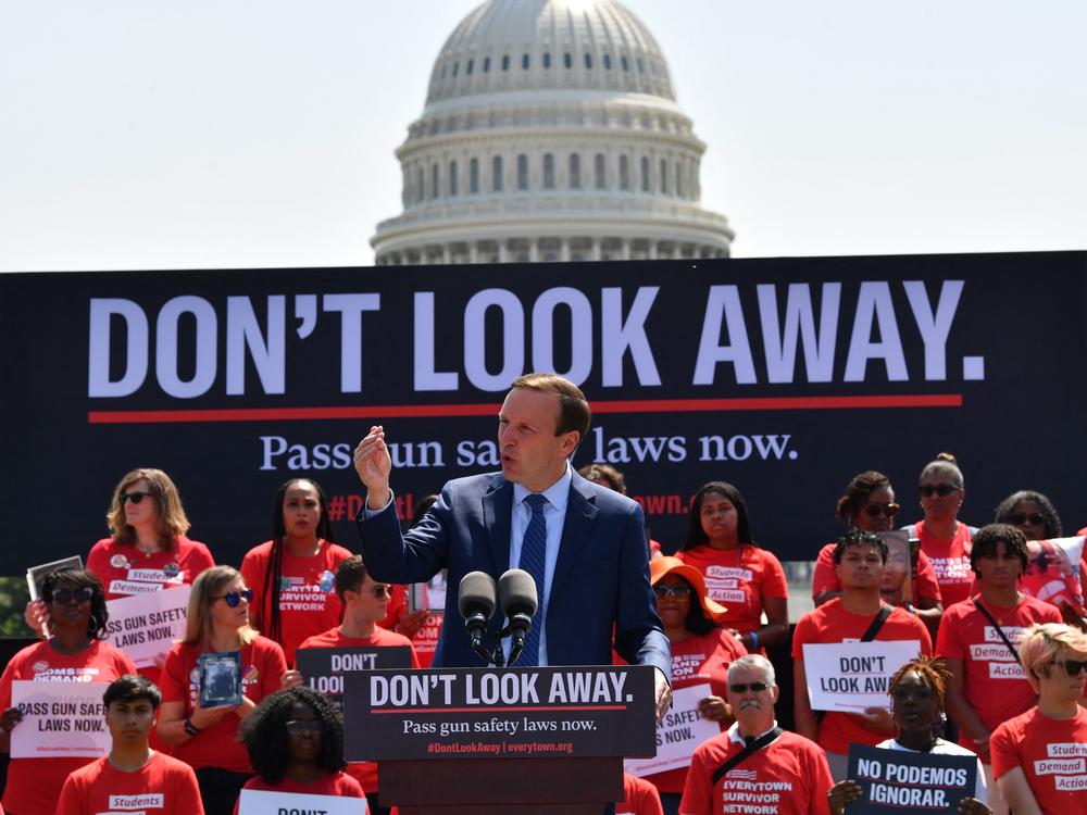 Sen. Chris Murphy of Connecticut, the lead Democratic negotiator on a bipartisan gun bill safety bill, speaks to activists protesting gun violence and demanding action from lawmakers, on June 8 near the U.S. Capitol.