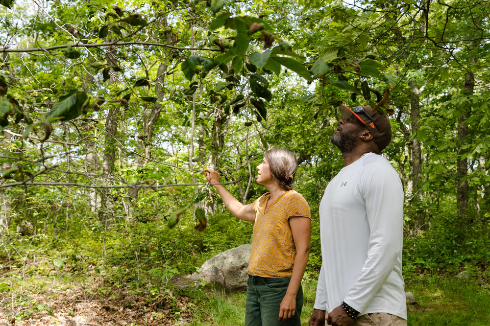 Audrey Van Der Krogt, helps Vernon Powell, look for foliage to start a fire.