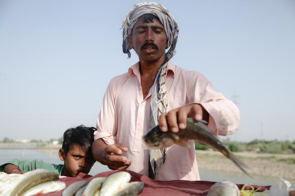 A fisherman sells his catch on a bridge overlooking a canal that stretches off the Indus River. Fishermen say their catches have been dwindling for years, and many of them are going hungry or have abandoned fishing entirely. They say there's not enough water in the Indus – or the canals that branch off it – for fish to thrive.
