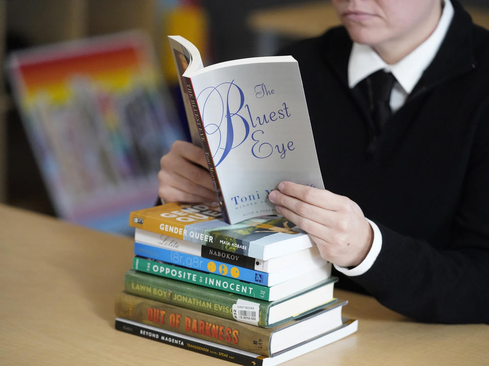 Attempts to ban books in school districts around the country have increased in recent years. Now, some states are working on enacting laws to give politicians more power over public libraries.