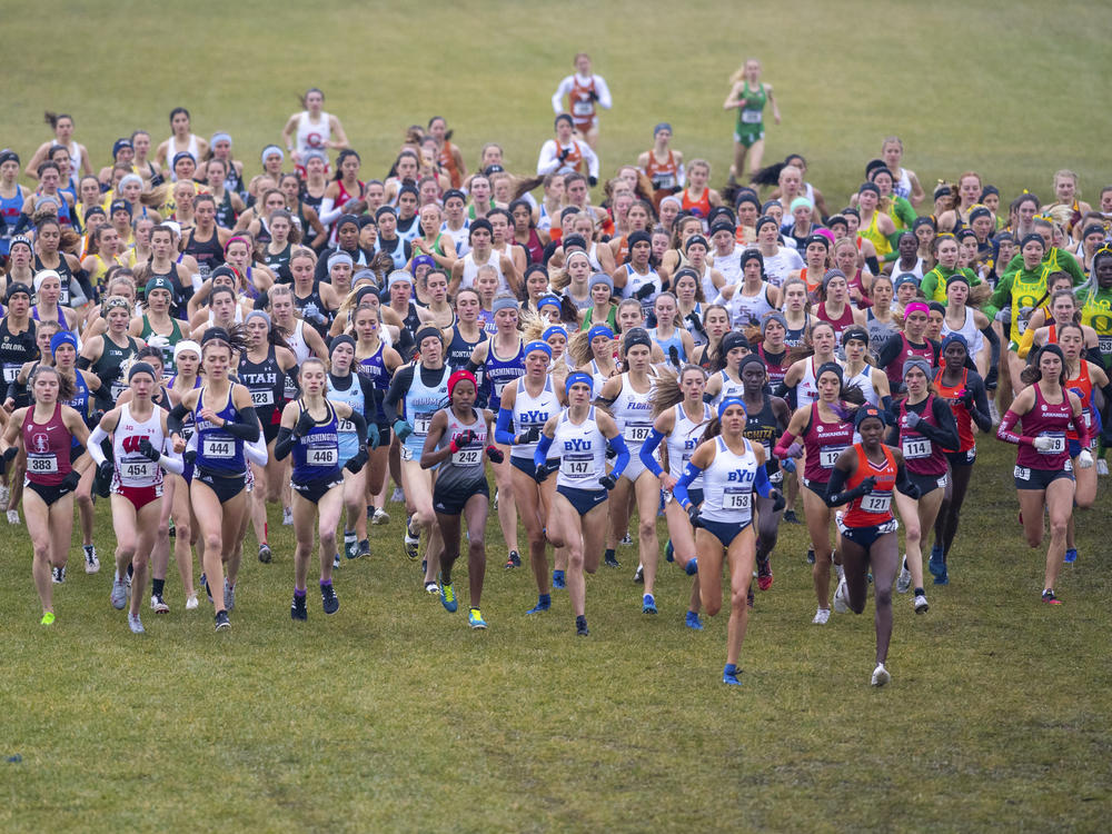 Runners compete in the women's NCAA Division I Cross-Country Championships, Saturday, Nov. 23, 2019, in Terre Haute, Ind.