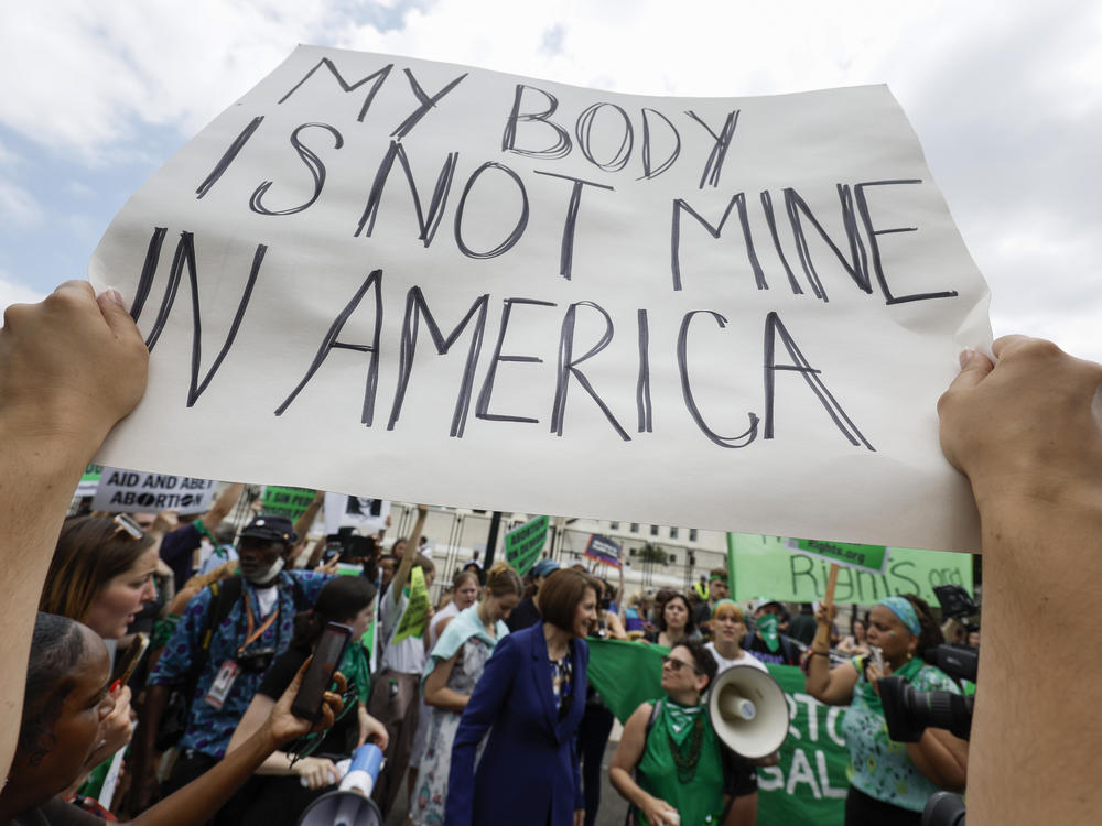 People with disabilities worry about how they will be disproportionately affected by the Supreme Court's reversal of <em>Roe v. Wade</em>.