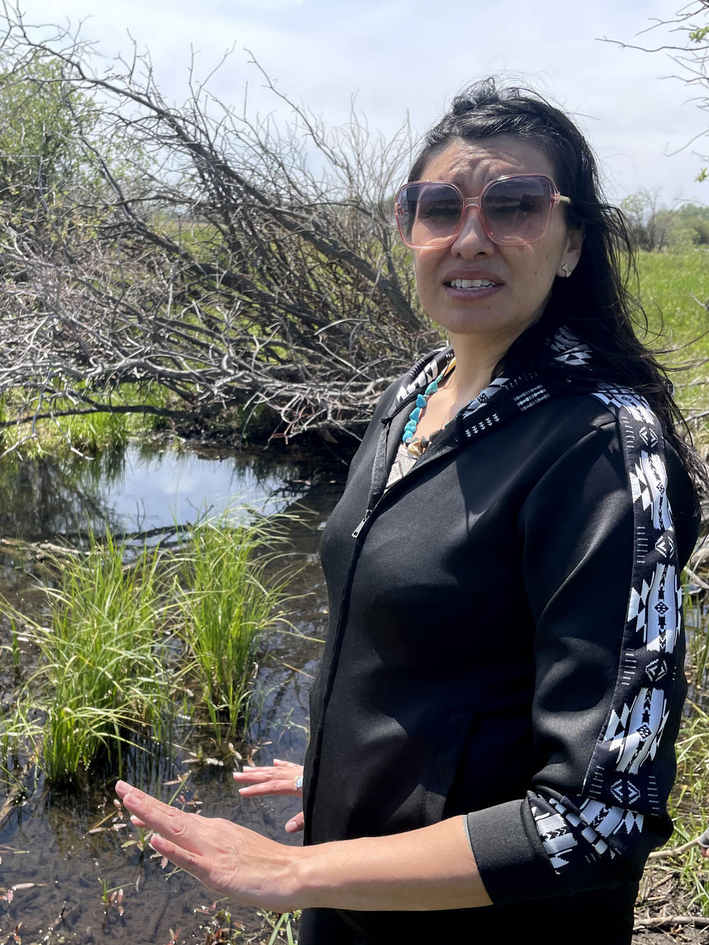 Blackfeet researcher Souta Calling Last surveys wetlands that serve as a watering hole for deer, elk and moose on the Blackfeet Indian Reservation in Montana. Calling Last is heading a program that will take dogs to sites like these to sniff out chronic wasting disease.