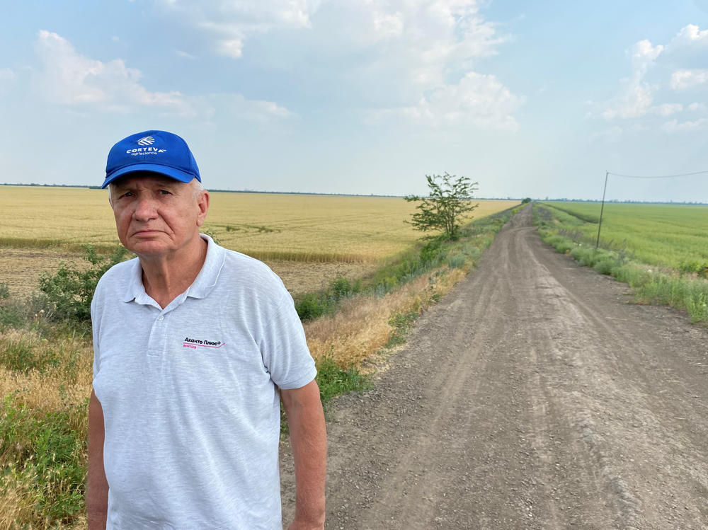 Ukrainian farmer Mykhailo Liubchenko, 72, says he'll likely burn the field he stands in front of because unexploded ordnance makes harvesting the grain possibly fatal.