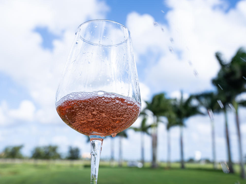 Hunky Punky Poolboy will never judge if you put ice in your wine.